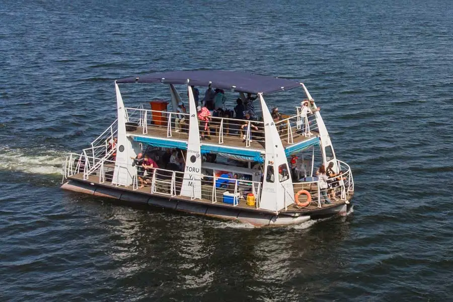 Toro Ya Me under way on the dam
